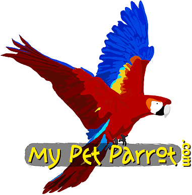 &copy;Mypetparrot.com